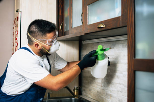 Best Termite Control Services  in Orida City, FL