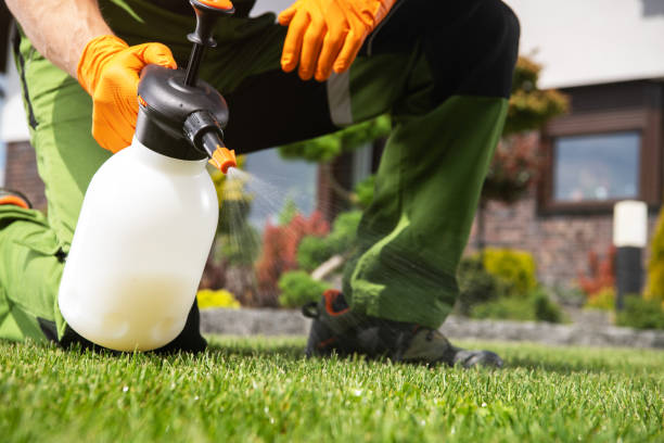 Best Pest Control Treatment  in Orida City, FL