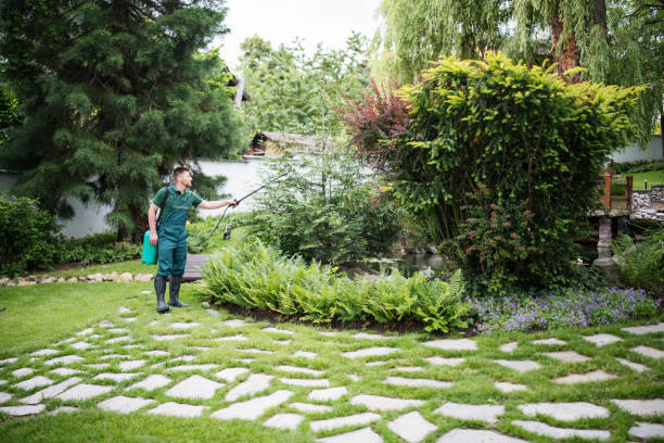 Best Best Pest Control Near Me  in Orida City, FL