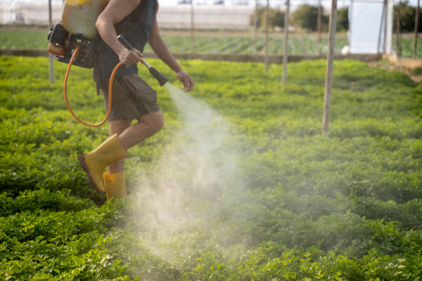 Best Pest Control for Restaurants  in Orida City, FL