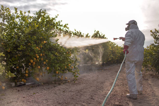 Best Spider Control Near Me  in Orida City, FL