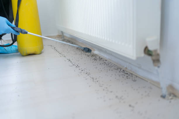 Wildlife Control Services in Florida City, FL
