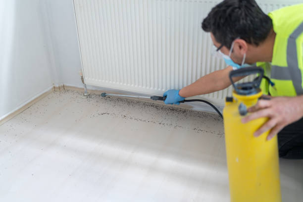 Best Rat Extermination Near Me  in Orida City, FL